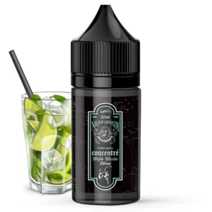 CONCENTRÉ PUNK FUNK - MOJITO MENTHE CITRON 30ml