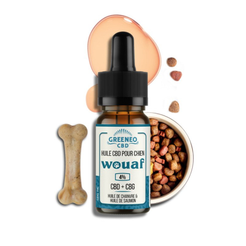 huile CBD pour chiens