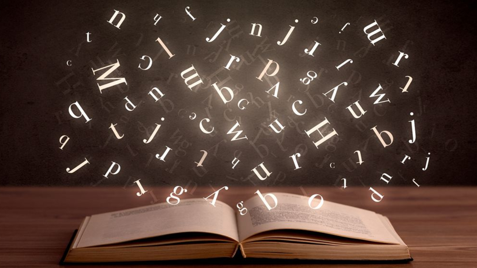 lexique_1280x560-compressor